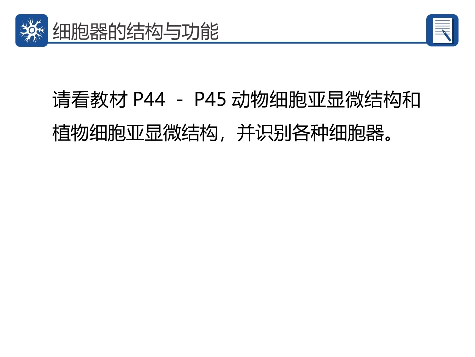 细胞器的亚显微结构和功能.ppt_第2页