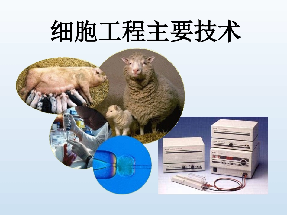 细胞工程主要技术.ppt_第1页