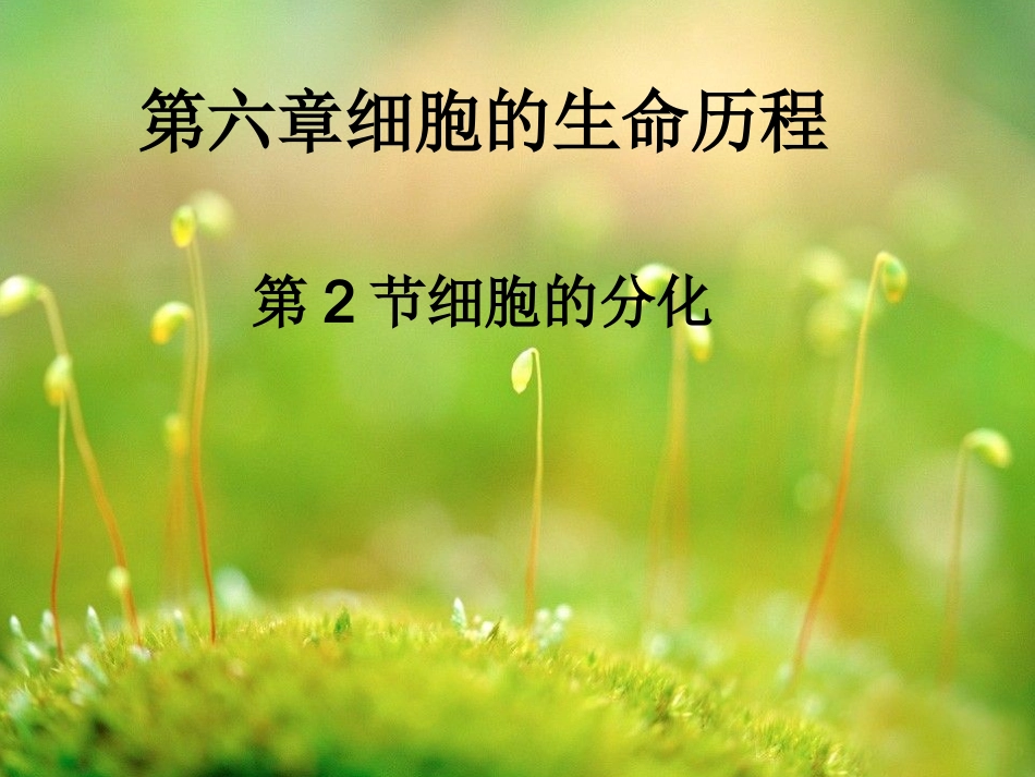 细胞分化.ppt_第1页