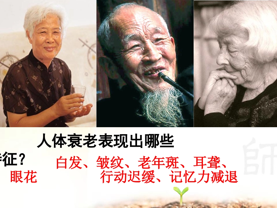 细胞的衰老癌变.ppt_第2页