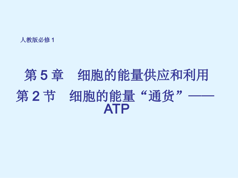 细胞的能量通货--ATP.ppt_第1页