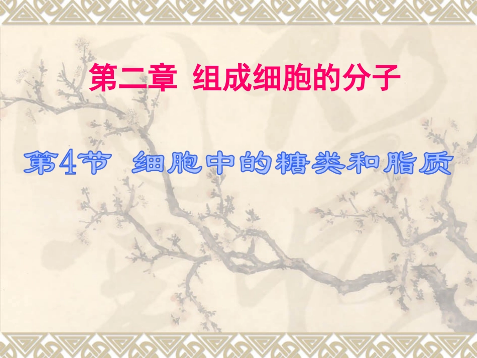 细胞中的糖类和脂质(一轮复习).ppt_第3页