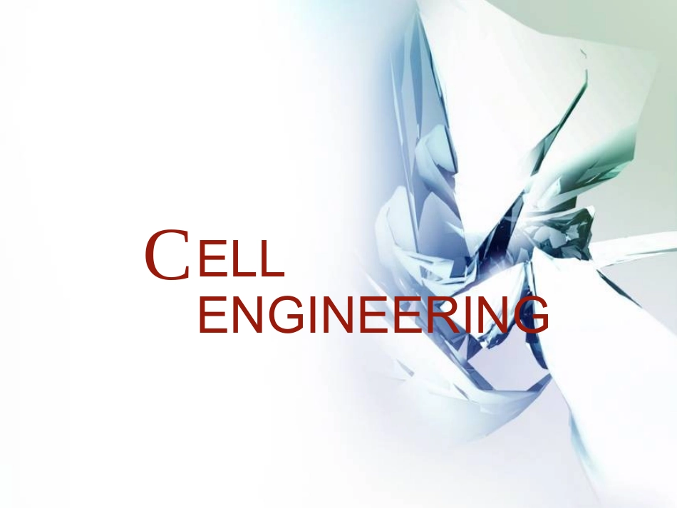 细胞工程2培养细胞常规检查及特性鉴定.ppt_第1页