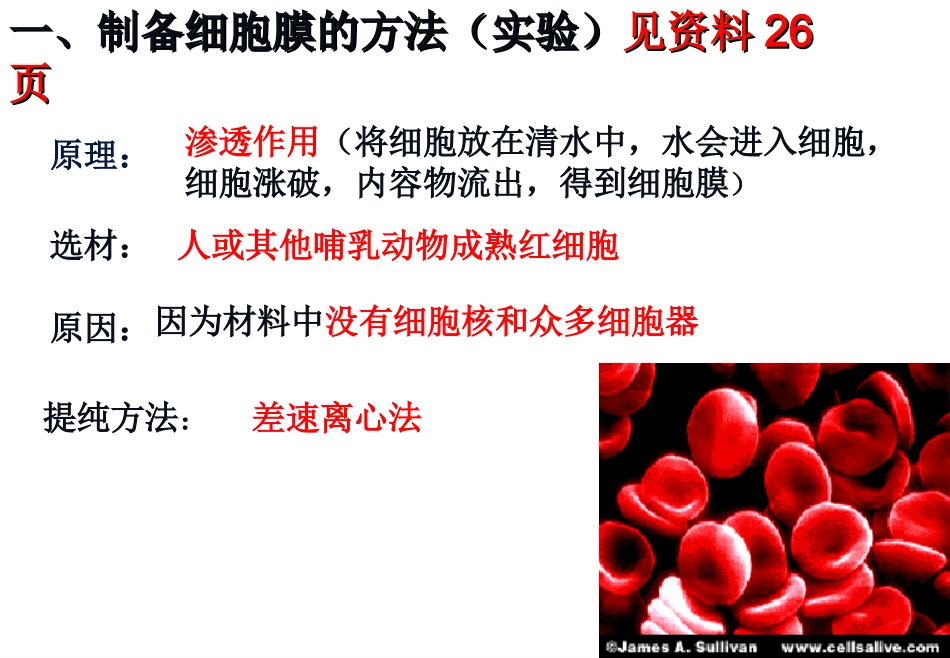 细胞膜一轮复习-细胞膜的结构与功能-M.ppt_第2页