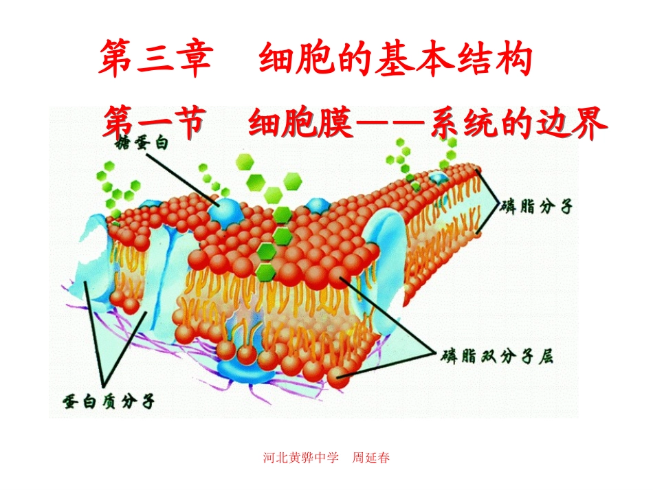 细胞膜-系统的边界.ppt_第1页