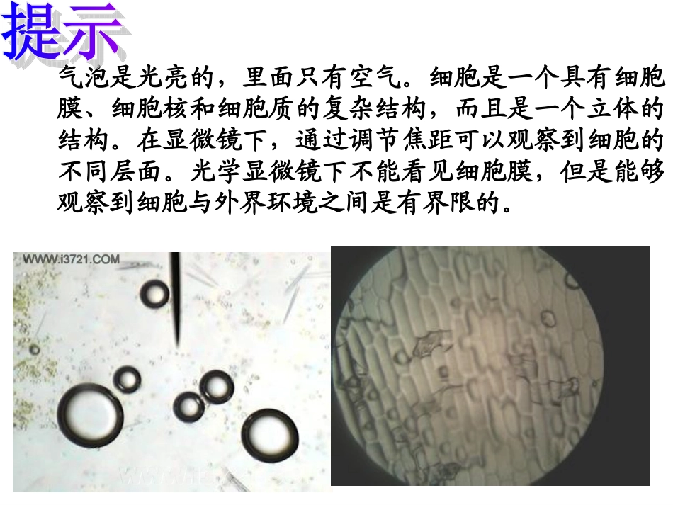 细胞膜-系统的边界.ppt_第3页