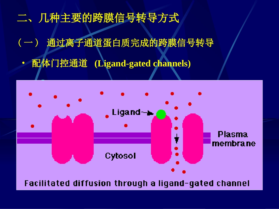 细胞的跨膜信号传递功能.ppt_第2页