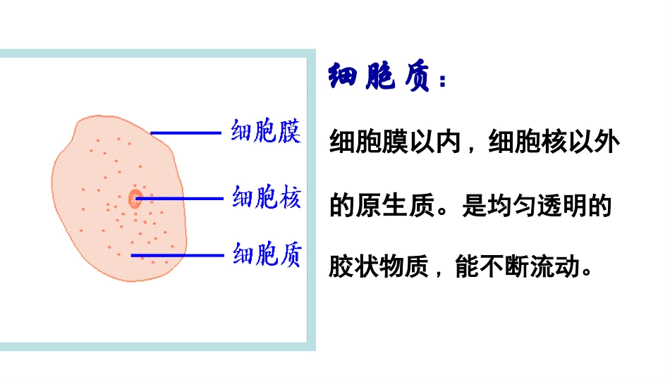 细胞器——系统内的分工.ppt_第2页