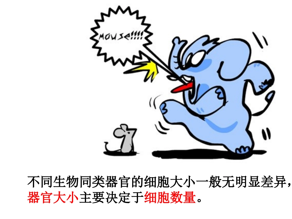 细胞的增殖(有动画).ppt_第3页