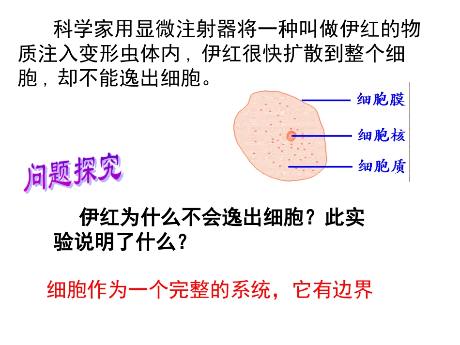 细胞膜公开课版本.ppt_第1页