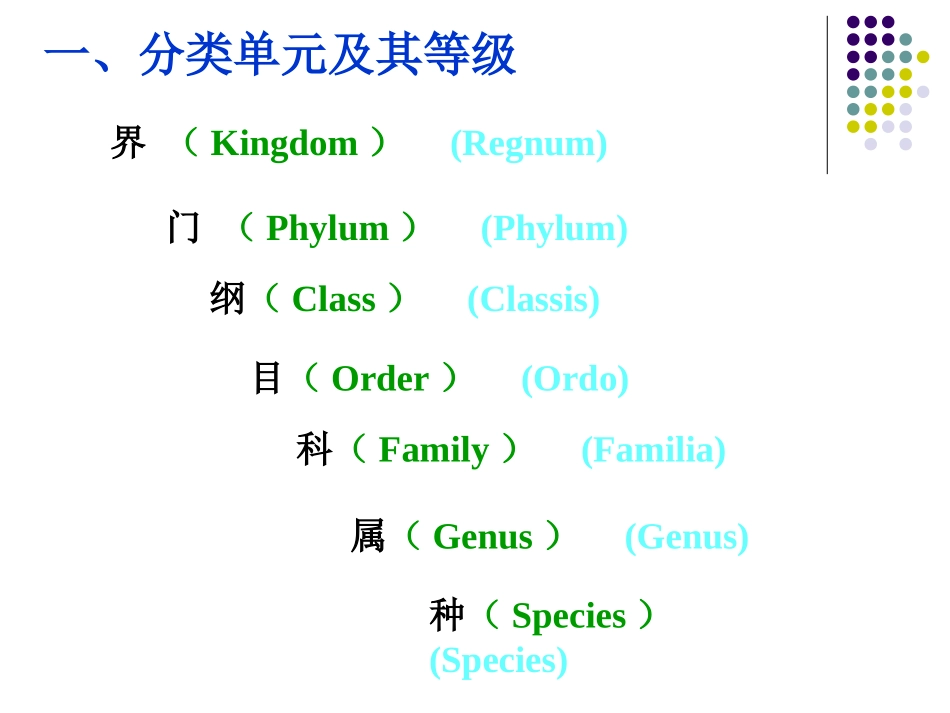 细菌分类与鉴定.ppt_第3页