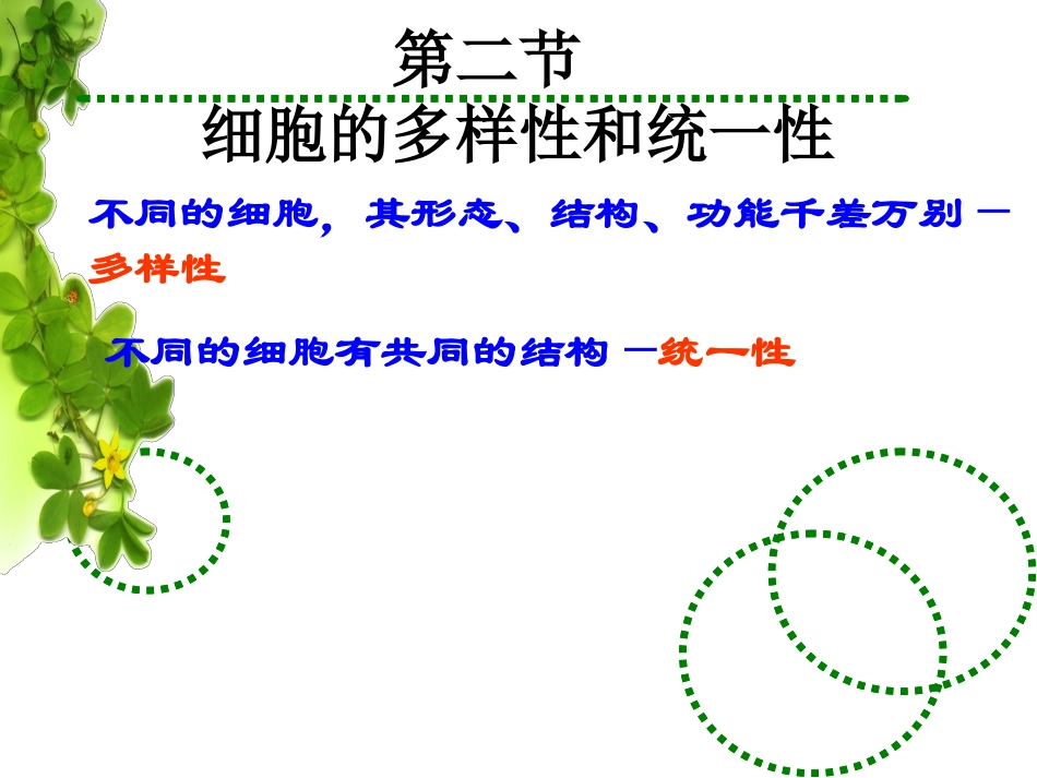 细胞的多样性和统一性市级公开课.ppt_第1页