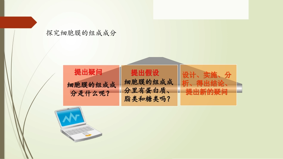 细胞膜结构的探究.pptx_第3页