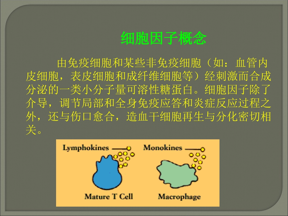 细胞因子的简介.ppt_第2页