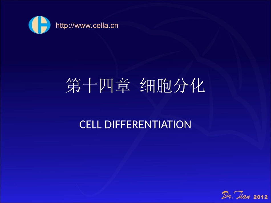 细胞分化与凋亡.ppt_第1页