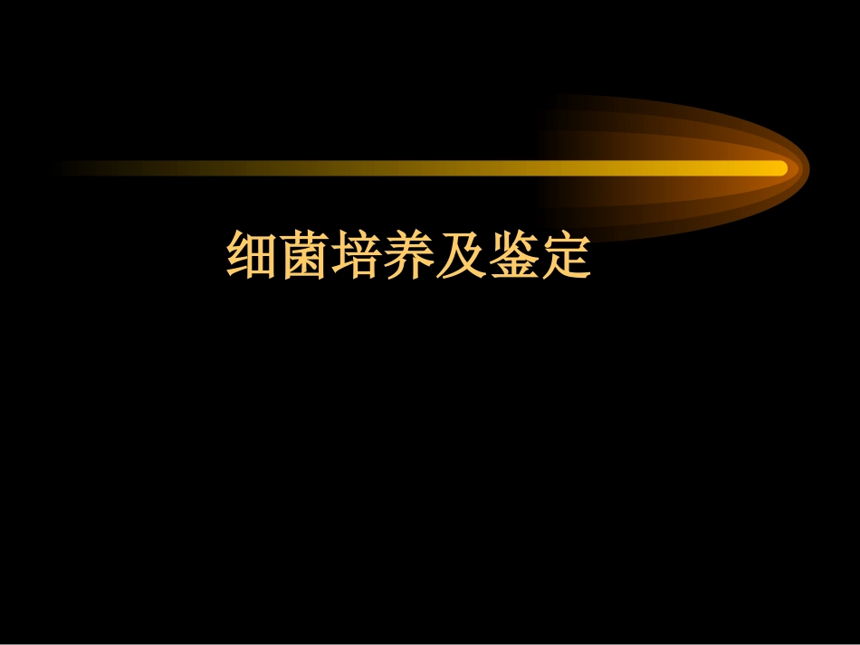 细菌的培养及鉴定.ppt_第1页