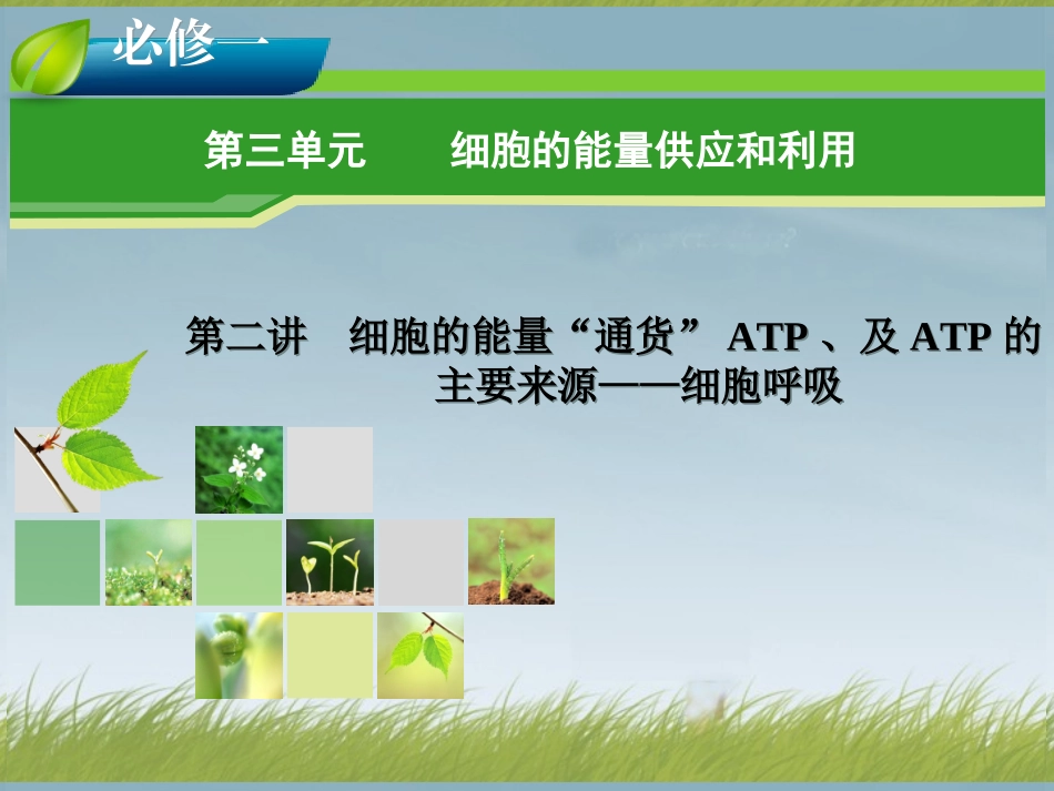 细胞的能量供应和利用.ppt_第1页