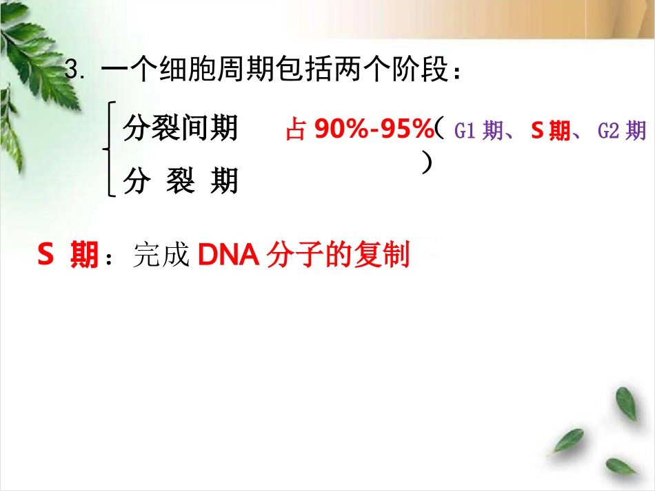 细胞增殖6.1-2.ppt_第3页
