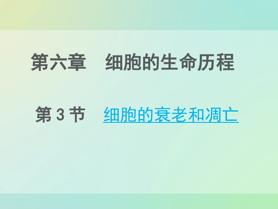 细胞的衰老和凋亡优质课.ppt_第2页