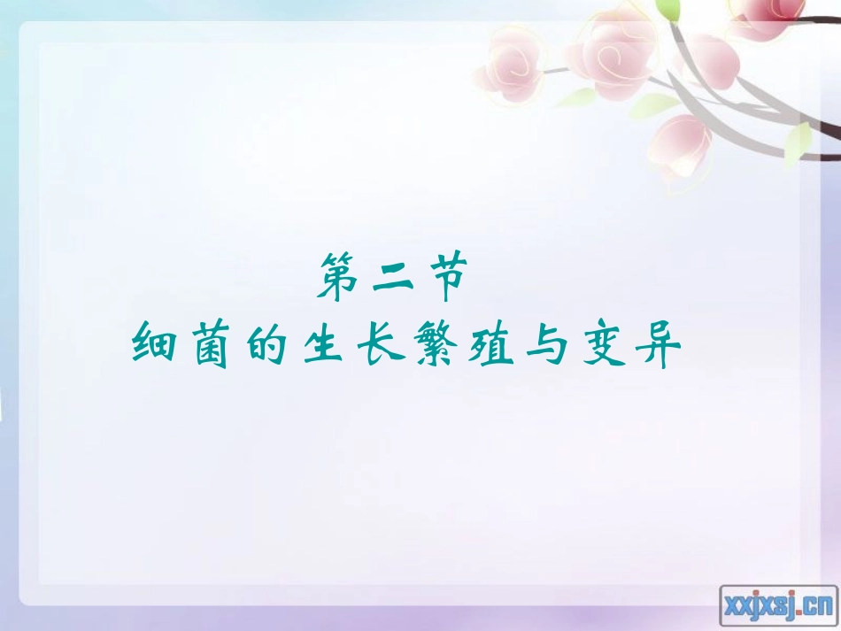 细菌的生长繁殖与变异-PPT.ppt_第1页