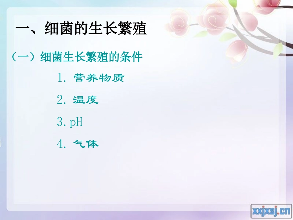 细菌的生长繁殖与变异-PPT.ppt_第2页