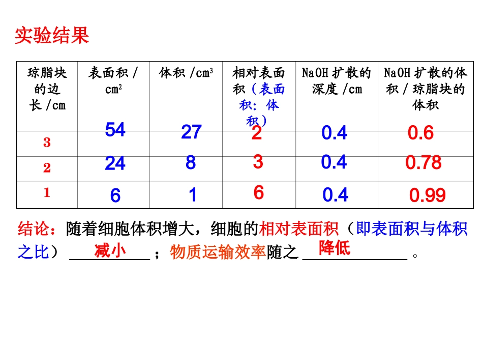 细胞的增殖一轮复习.ppt_第3页