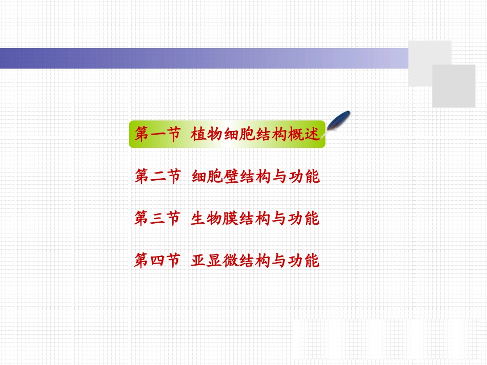 细胞壁的亚显微结构图解.ppt_第2页