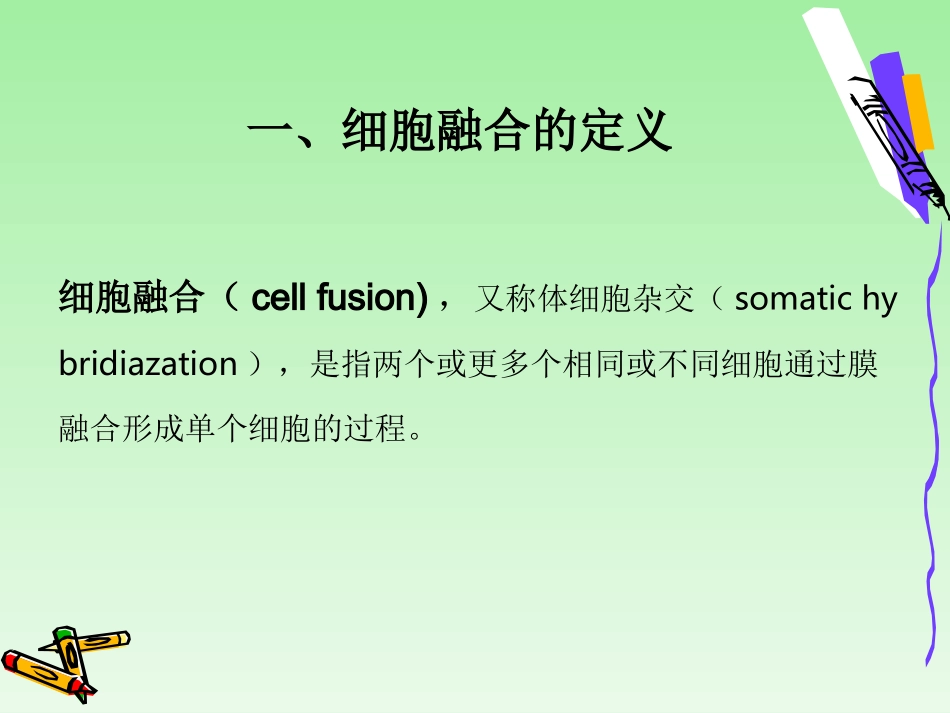 细胞融合与单克隆抗体.ppt_第3页