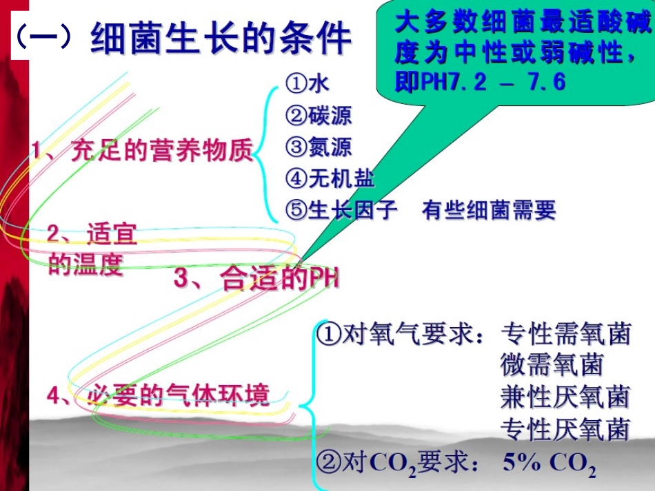 细菌生长繁殖与培养.ppt_第3页