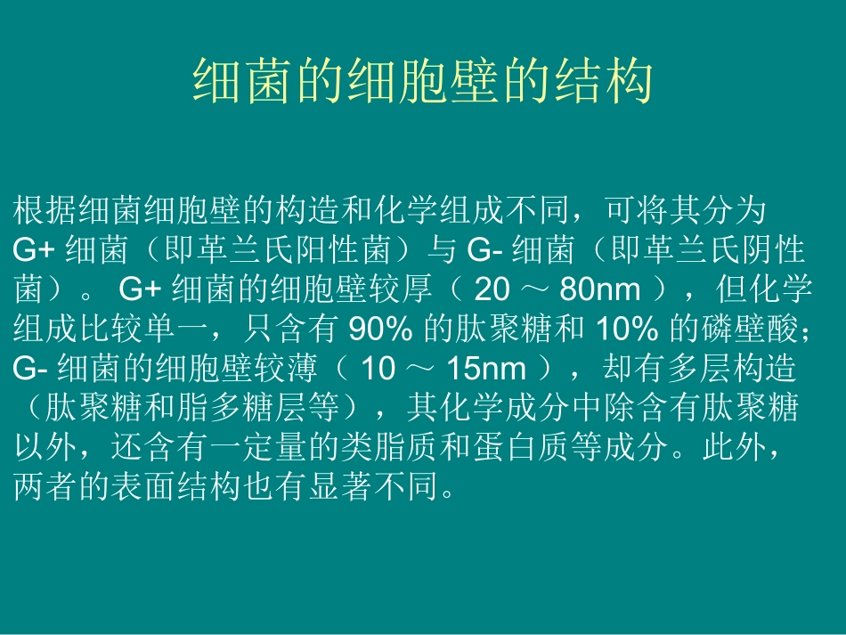 细菌细胞壁的结构和肽聚糖的合成.ppt_第3页