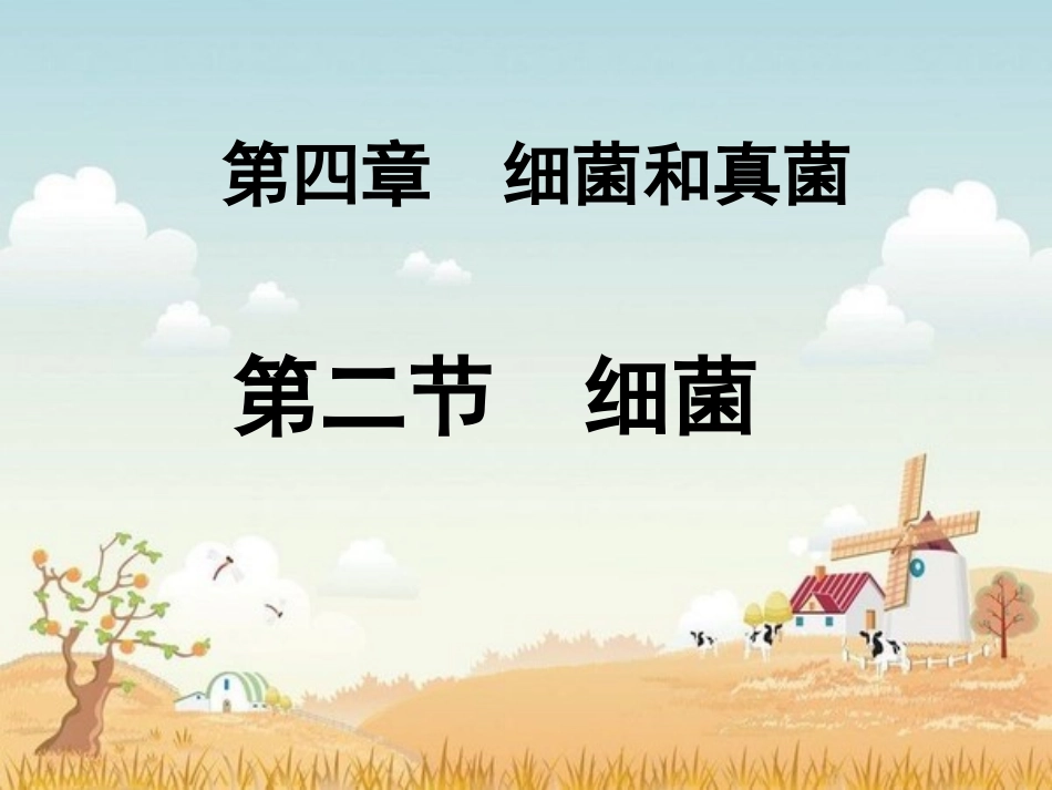 细菌-PPT.ppt_第1页