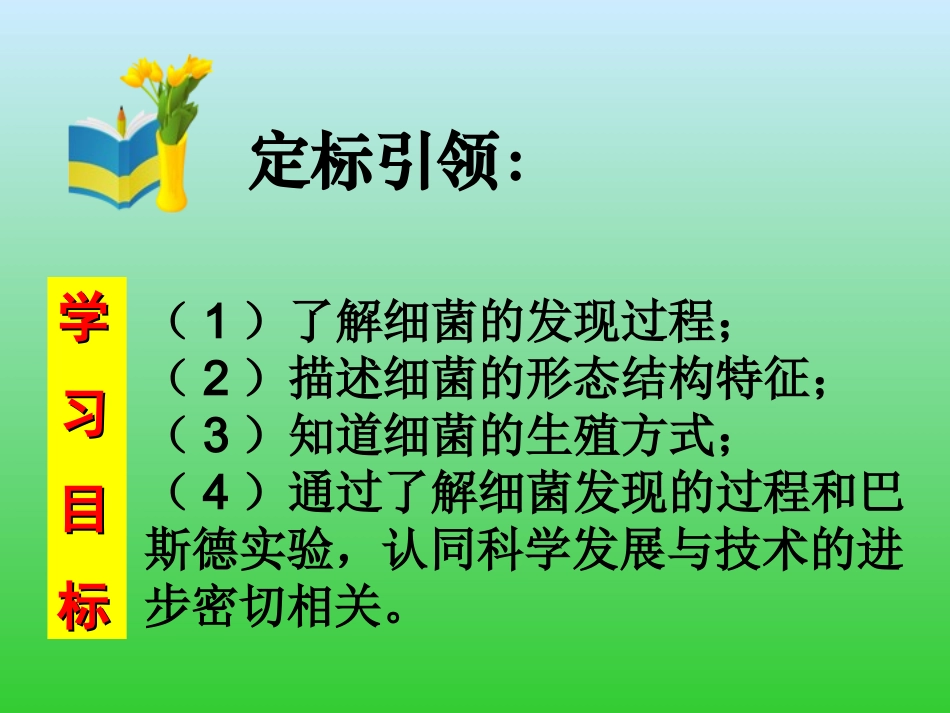 细菌-PPT.ppt_第3页