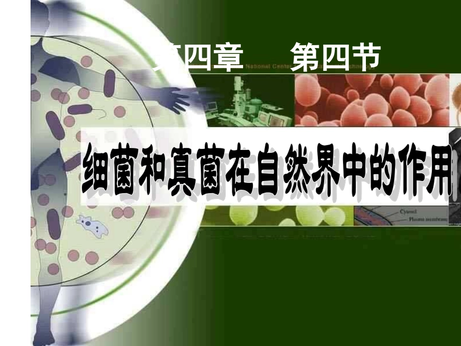 细菌和真菌在自然界中的作用(共21张ppt)...ppt_第1页