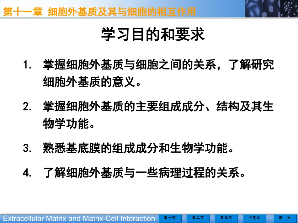 细胞外基质及其与细胞的相互作用.ppt_第3页