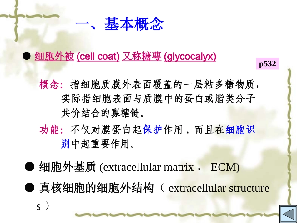 细胞质膜细胞外基质.ppt_第1页