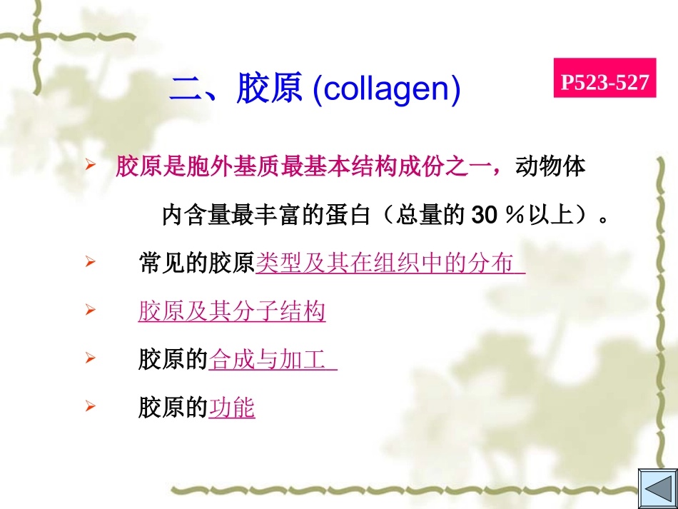 细胞质膜细胞外基质.ppt_第2页