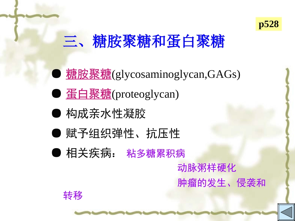 细胞质膜细胞外基质.ppt_第3页