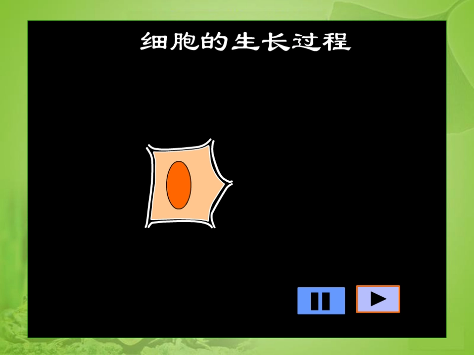 细胞通过分裂产生新细胞2(1).ppt_第3页