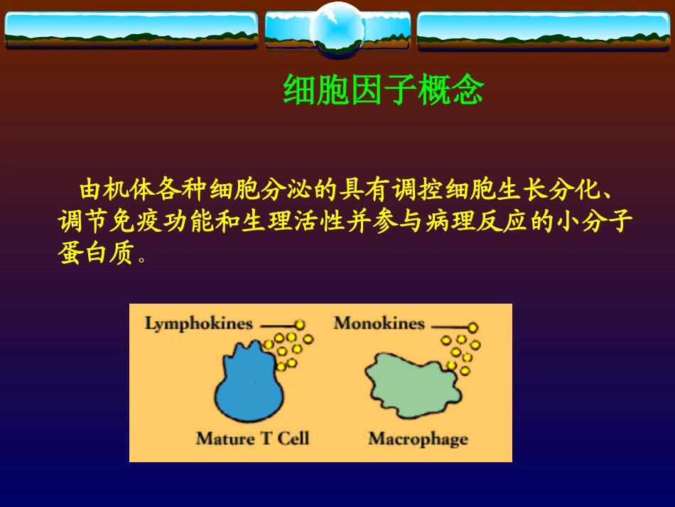 细胞因子.ppt_第2页