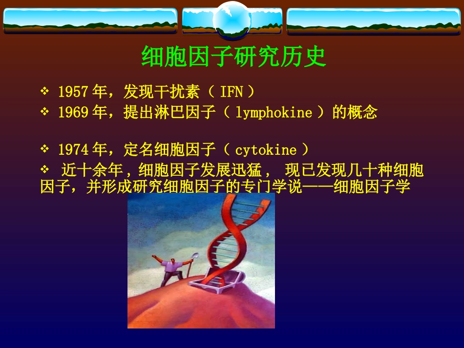 细胞因子.ppt_第3页