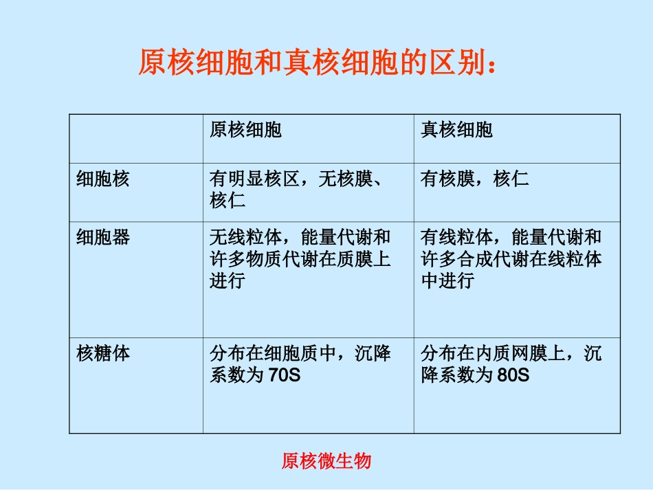 细菌学概论1..ppt_第3页