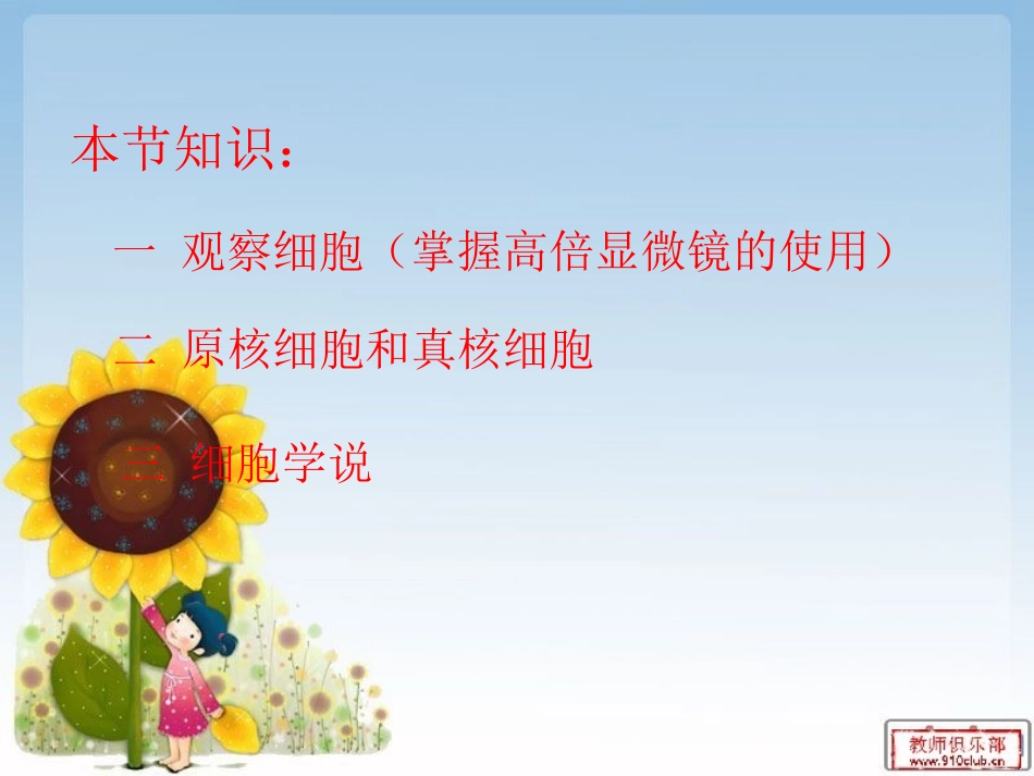 细胞的多样性和统一性.ppt_第2页