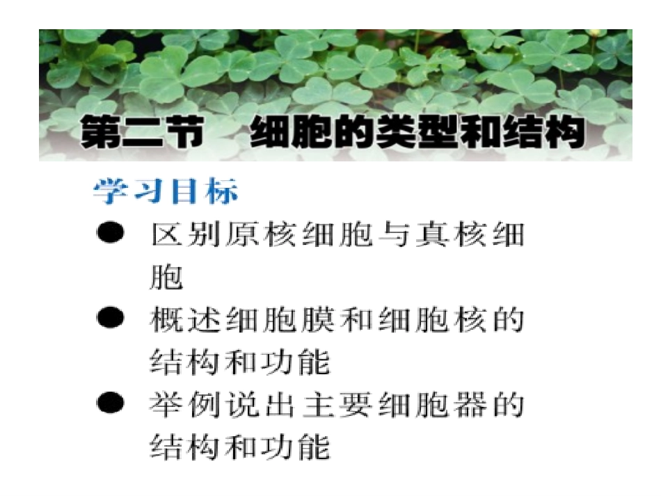 细胞的类型和结构.pptx_第1页