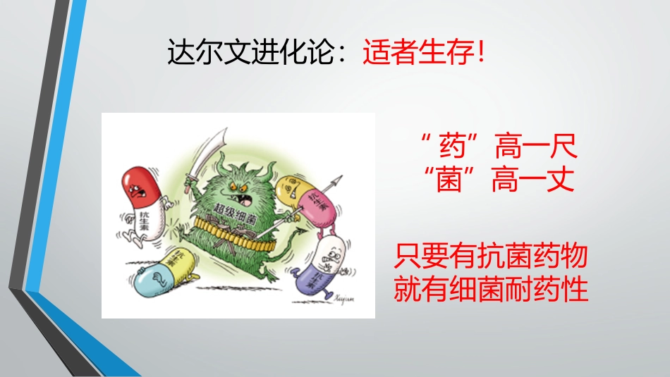 细菌的耐药性与多.pptx_第2页