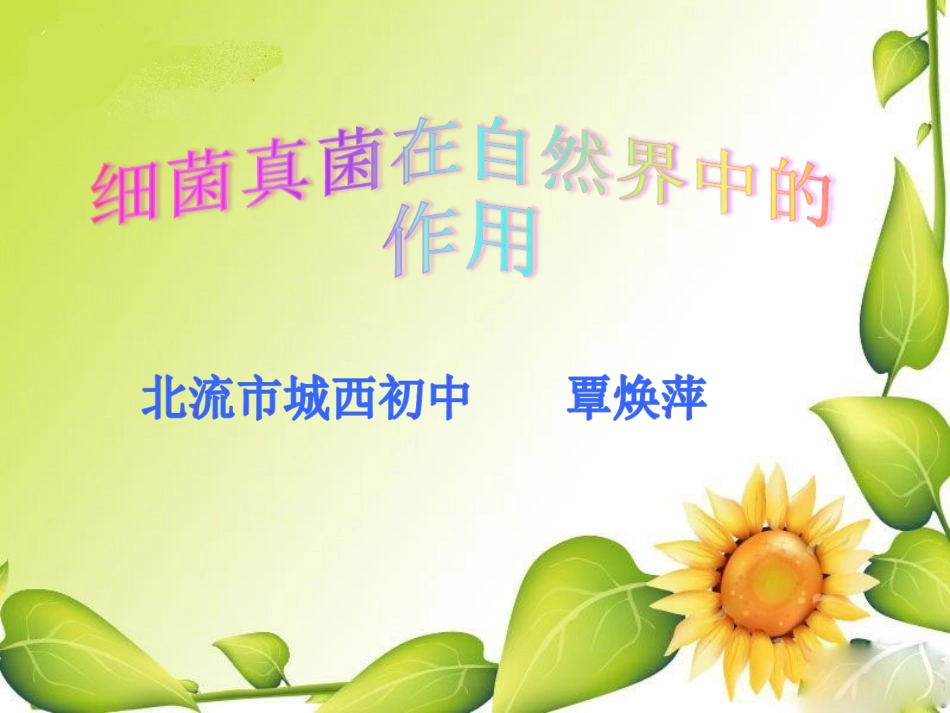细菌真菌在自然界中的作用.ppt_第1页