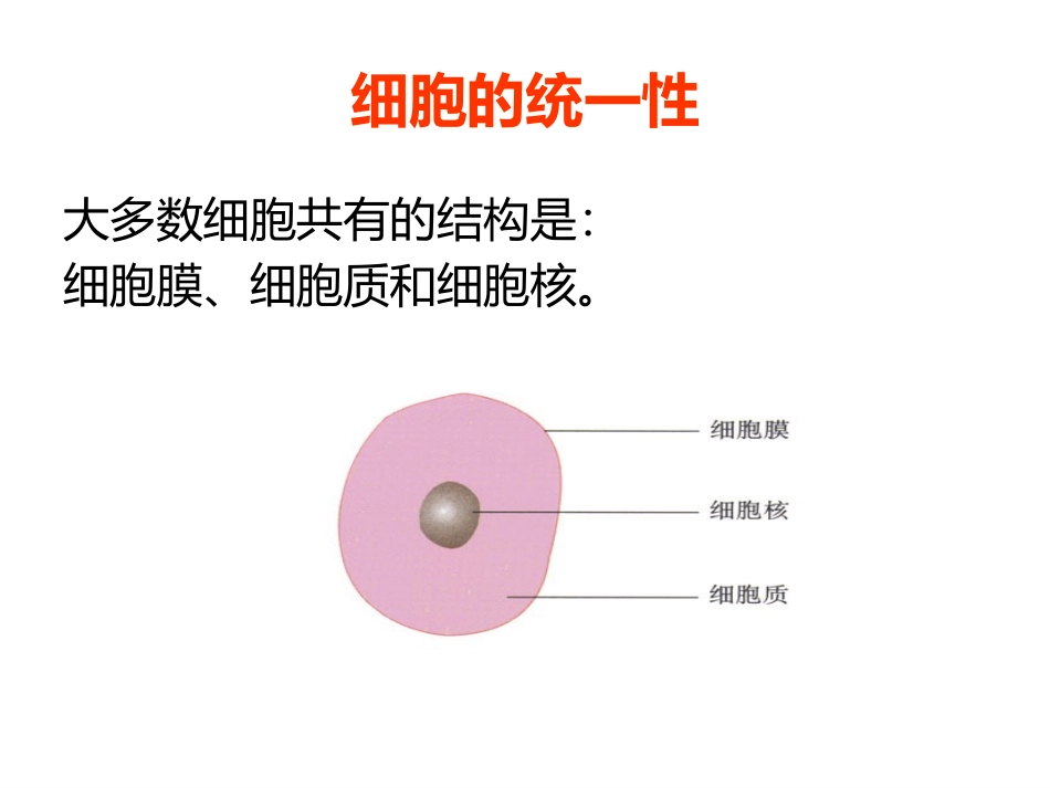 细胞的多样性和统一性.pptx_第3页