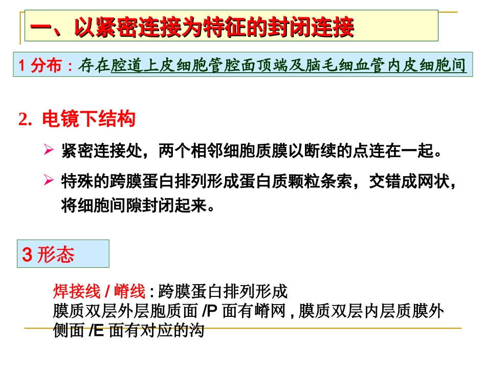 细胞连接与细胞粘连-(2).ppt_第1页