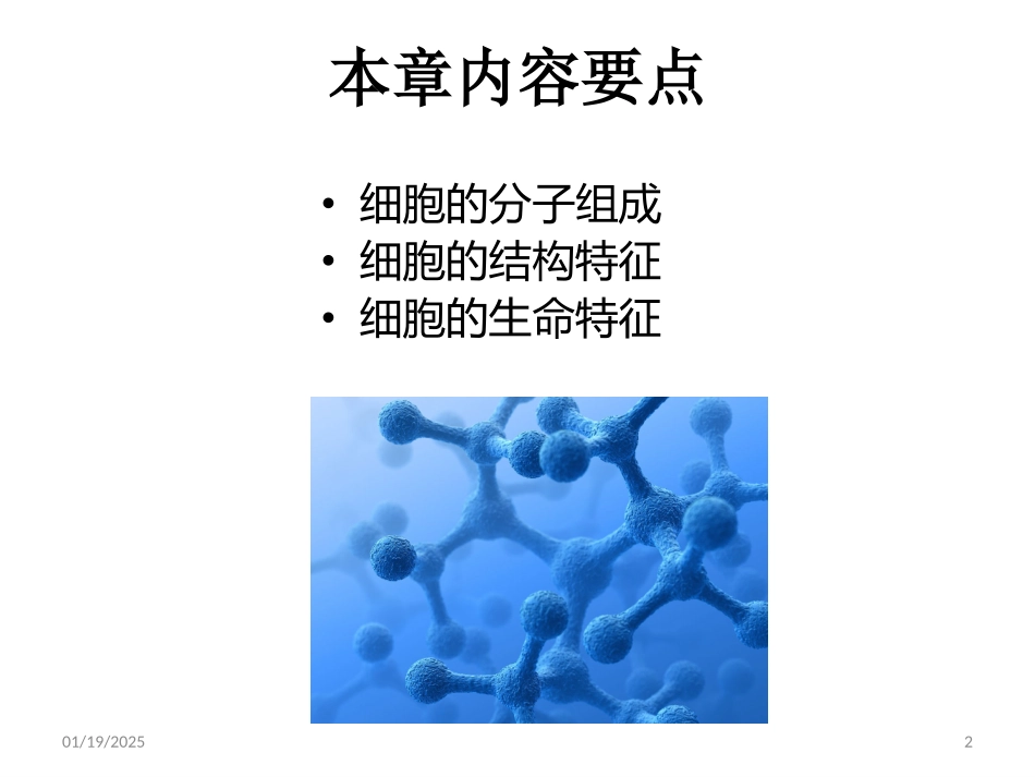 细胞的基本特征.pptx_第2页