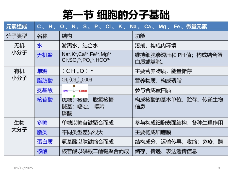 细胞的基本特征.pptx_第3页