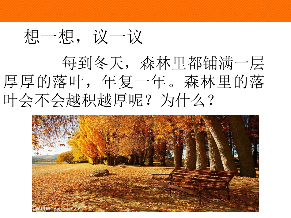 细菌和真菌在自然界中的作用-(2).ppt_第1页